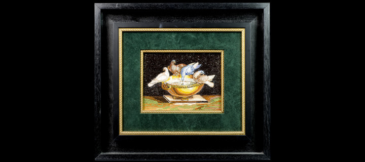 Colombe di Plinio – 15×19